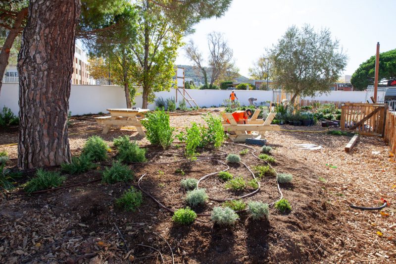 Travaux De Plantations Dans Les Tablissements Scolaires Ville De